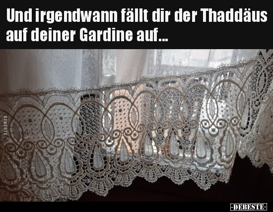 Und irgendwann fällt dir der Thaddäus auf deiner Gardine.. - Lustige Bilder | DEBESTE.de