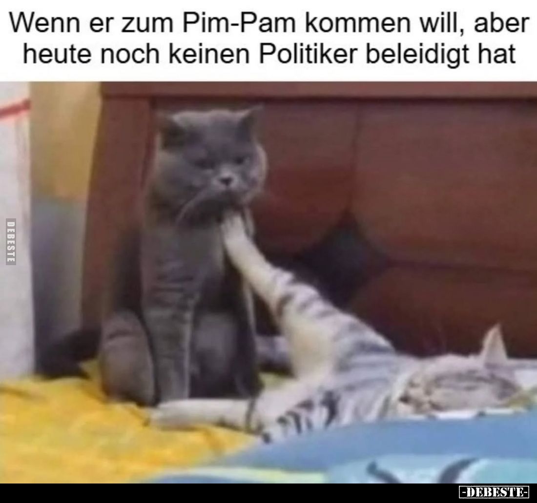 Wenn er zum Pim-Pam kommen will, aber heute noch keinen.. - Lustige Bilder | DEBESTE.de