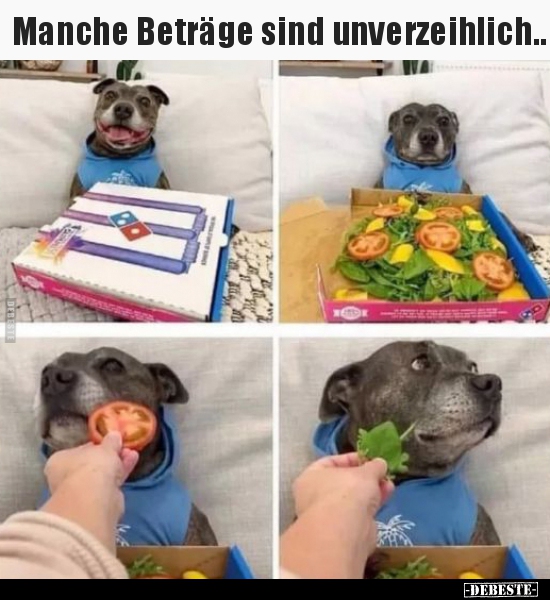 Manche Beträge sind unverzeihlich..