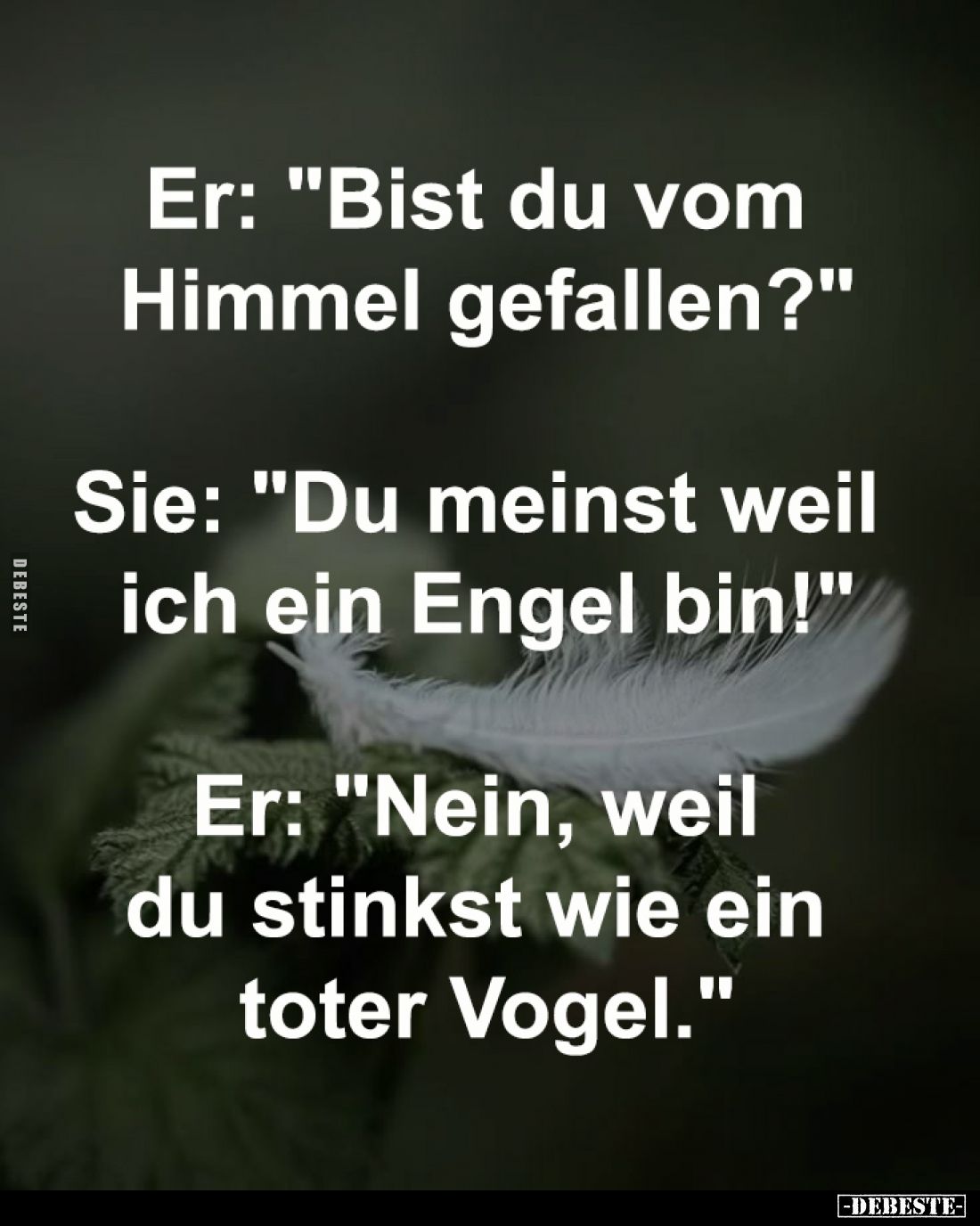 Er: "Bist du vom 
Himmel gefallen?"

Sie: "Du meinst weil 
ich ein Engel bin!"

Er: "Nein, wei...