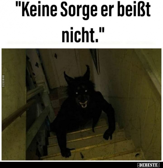 "Keine Sorge er beißt nicht."