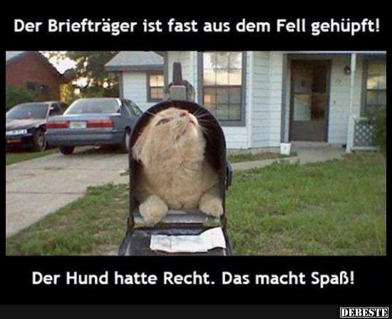 Der Briefträger ist fast aus dem Fell gehüpft! - Lustige Bilder | DEBESTE.de