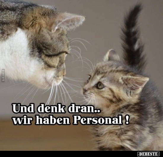 Und denk dran... wir haben Personal!..