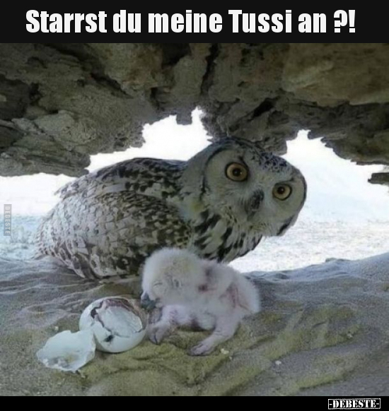 Starrst du meine Tussi an ?!.. - Lustige Bilder | DEBESTE.de