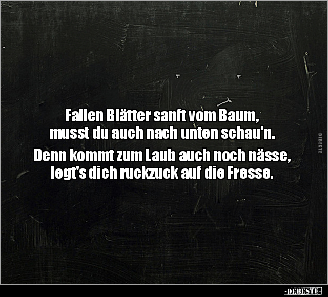 Fallen Blätter sanft vom Baum, musst du auch nach unten schau'n.. - Lustige Bilder | DEBESTE.de