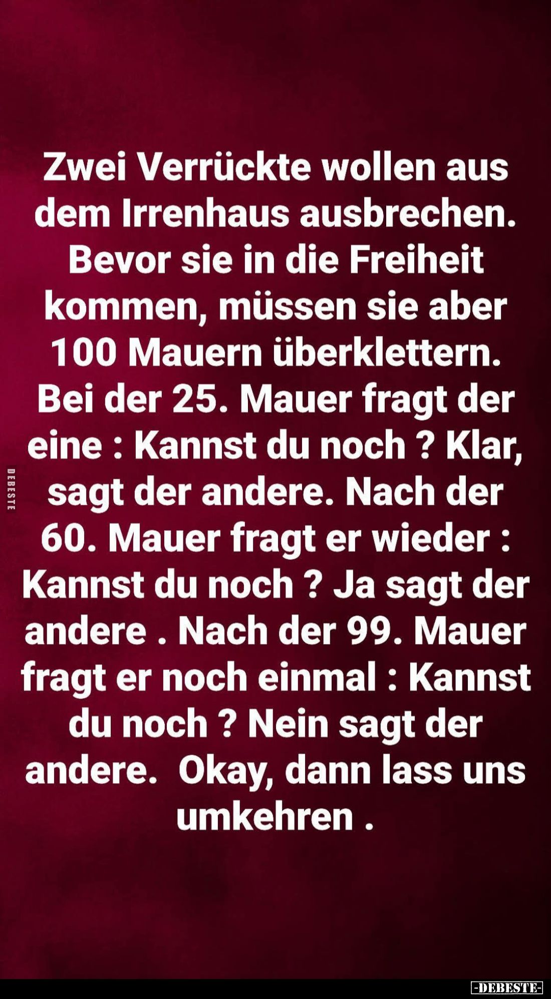 Zwei Verrückte wollen aus
dem Irrenhaus ausbrechen.
Bevor sie in die Freiheit
kommen, müssen sie aber
100 Mauern überklet...