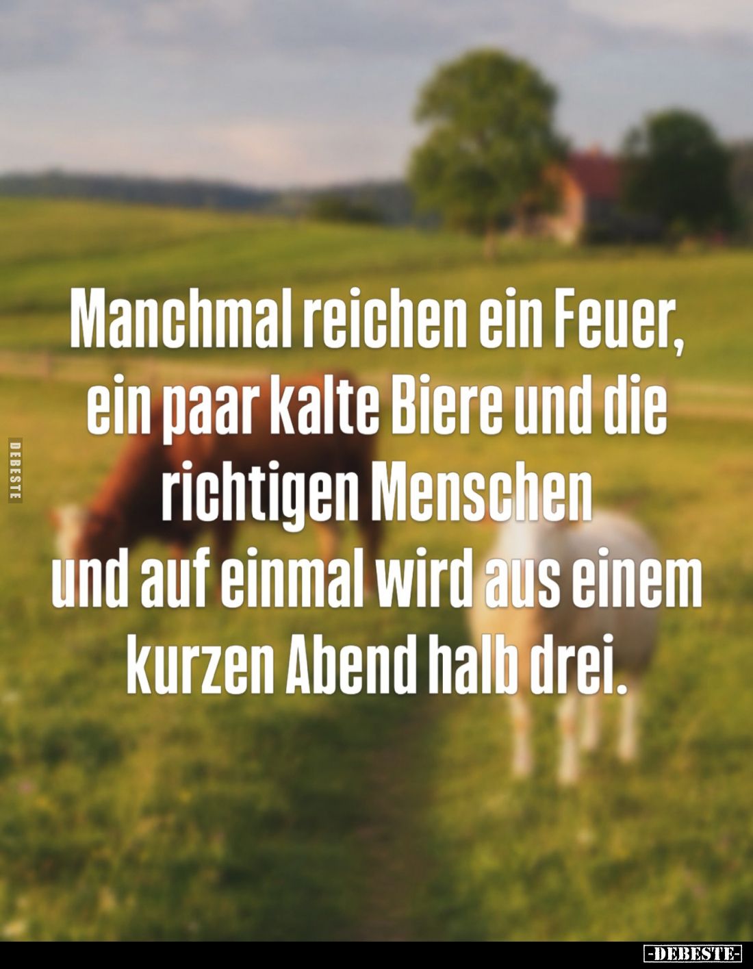 Manchmal reichen ein Feuer,
ein paar kalte Biere und die
richtigen Menschen
und auf einmal wird aus einem
kurzen Abend ha...
