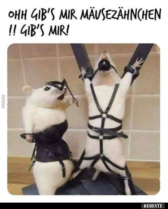 Ohh gib's mir Mäusezähnchen!! Gib's mir!
