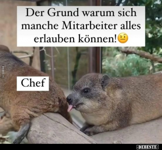 Der Grund warum sich manche Mitarbeiter alles erlauben.. - Lustige Bilder | DEBESTE.de