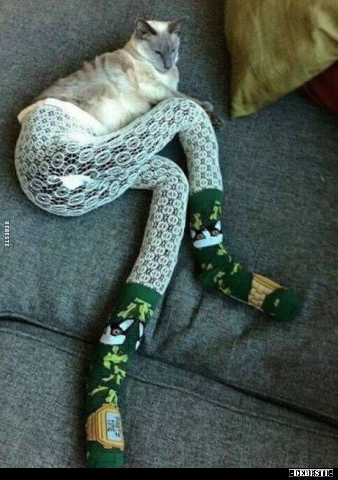  - Lustige Bilder | DEBESTE.de