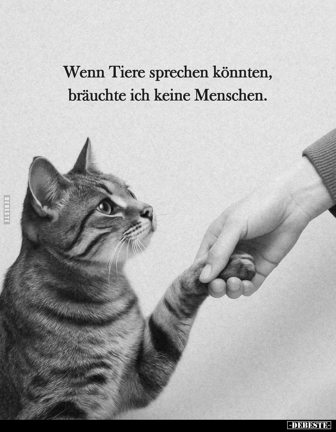 Wenn Tiere sprechen könnten, bräuchte ich keine Menschen.