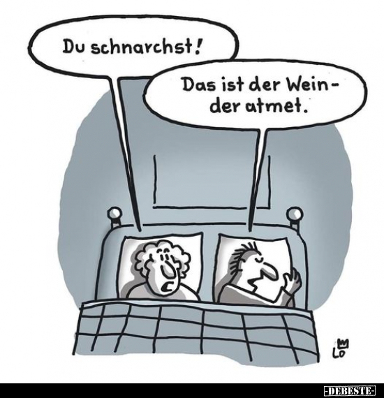 Du schnarchst!.. - Lustige Bilder | DEBESTE.de
