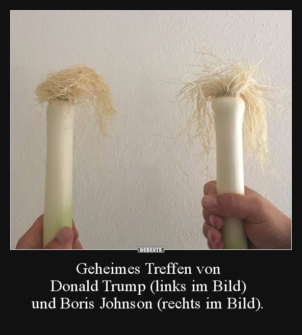 Geheimes Treffen von Donald Trump... - Lustige Bilder | DEBESTE.de