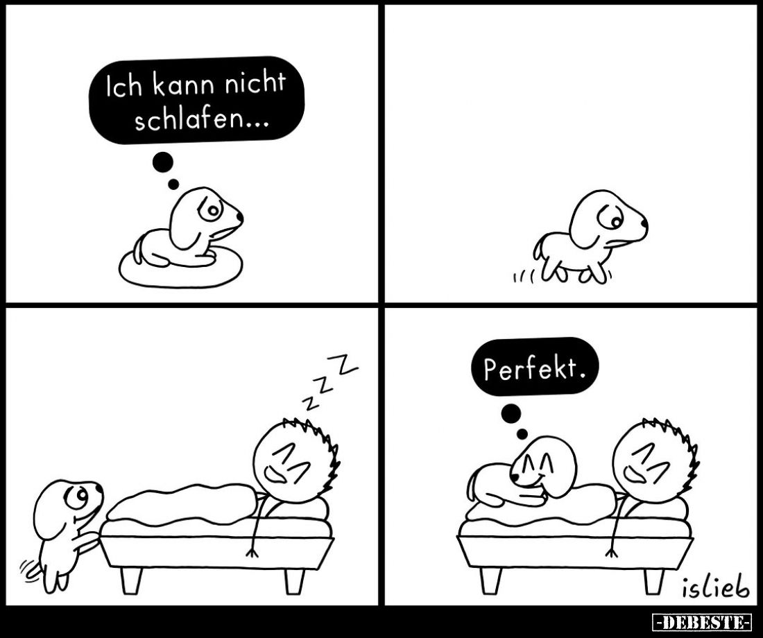 Ich kann nicht schlafen...
Perfekt.