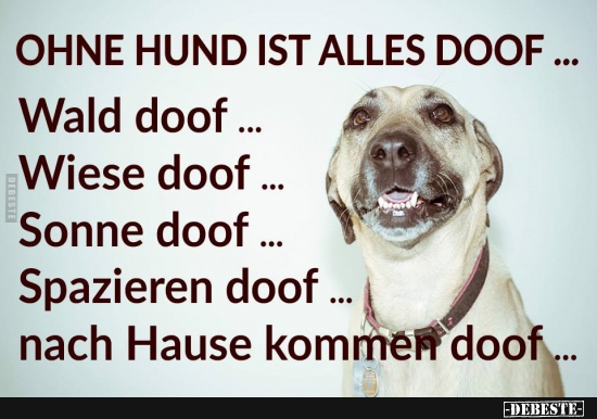 Ohne Hund ist alles doof... - Lustige Bilder | DEBESTE.de