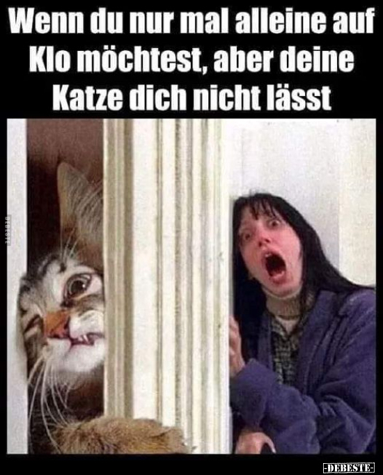 Wenn du nur mal alleine auf Klo möchtest, aber deine Katze.. - Lustige Bilder | DEBESTE.de