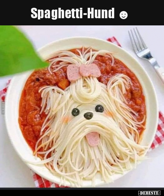 Spaghetti-Hund.. - Lustige Bilder | DEBESTE.de