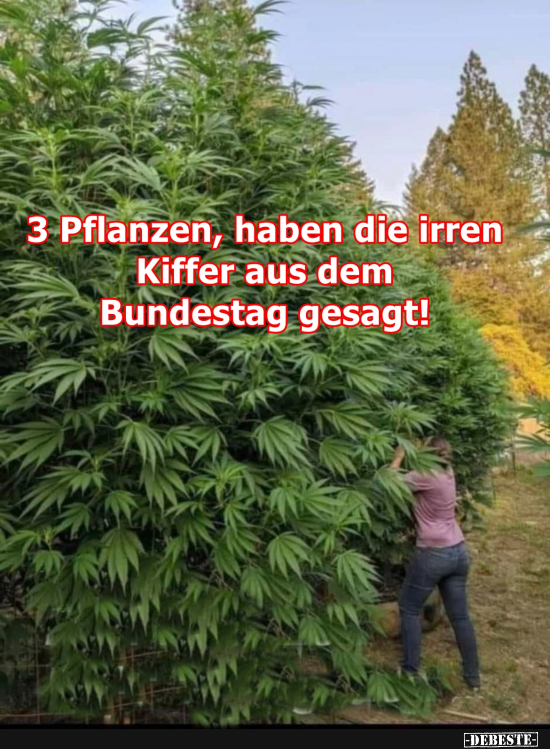 Drei Pflanzen - Lustige Bilder | DEBESTE.de