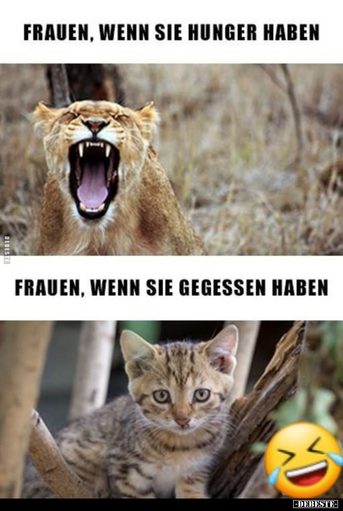 Frauen, wenn sie Hunger haben
-
Frauen, wenn sie gegessen haben