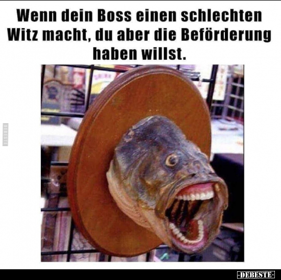 Wenn dein Boss einen schlechten Witz macht.. - Lustige Bilder | DEBESTE.de