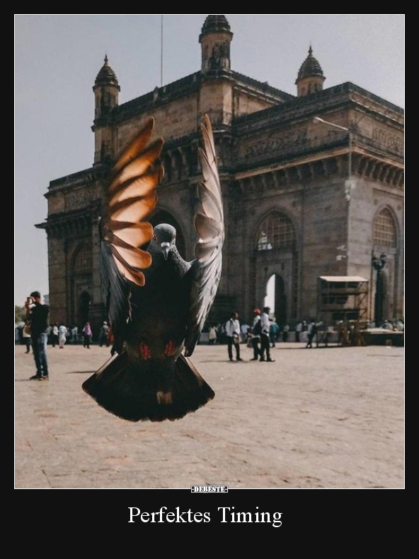 Perfektes Timing..