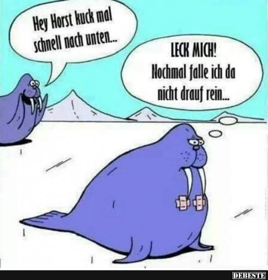 Hey Horst kuck mal schnell nach unten..