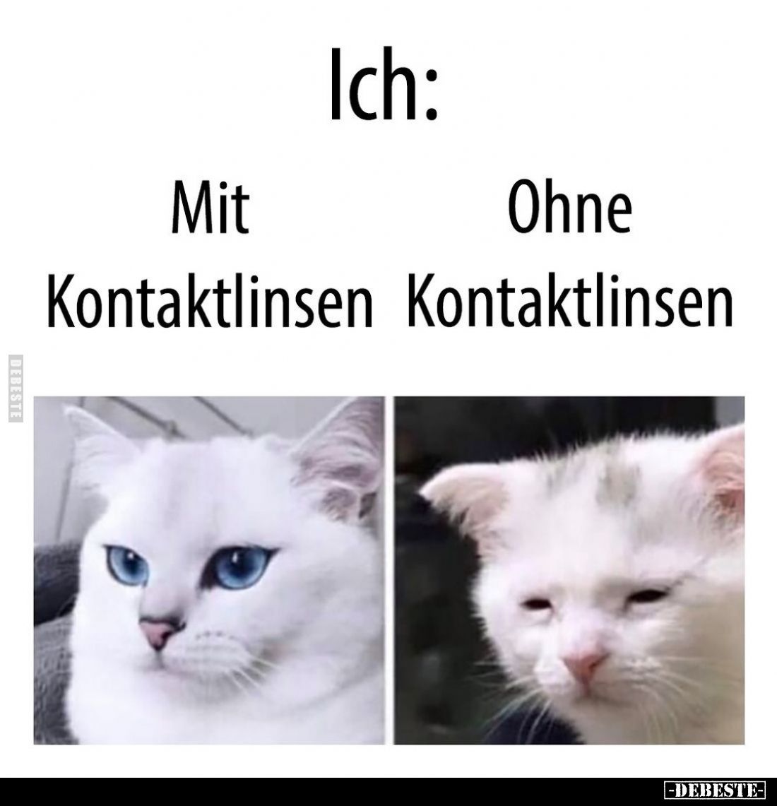  - Lustige Bilder | DEBESTE.de