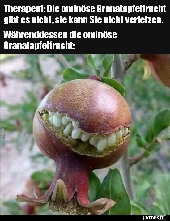 Therapeut: Die ominöse Granatapfelfrucht gibt es nicht, sie.. - Lustige Bilder | DEBESTE.de