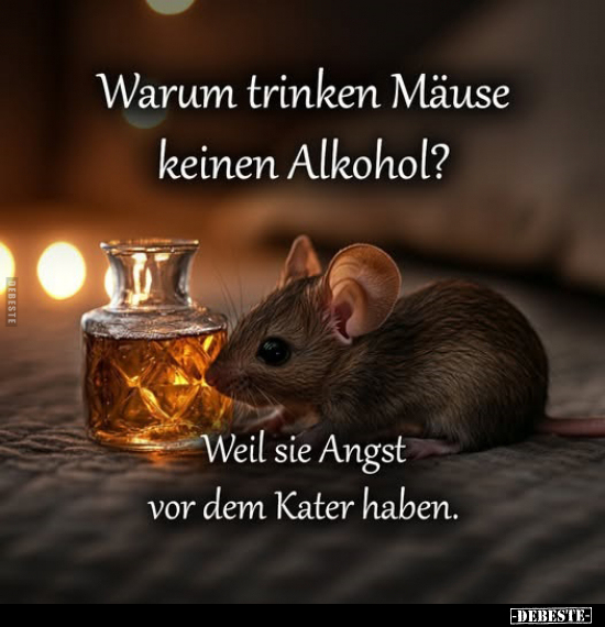 Trinken, Mäuse, Alkohol, Angst, Kater