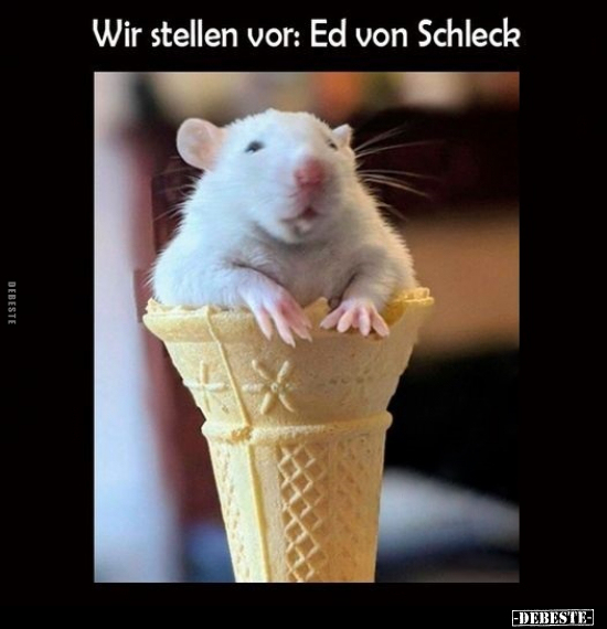 Wir stellen vor: Ed von Schleck