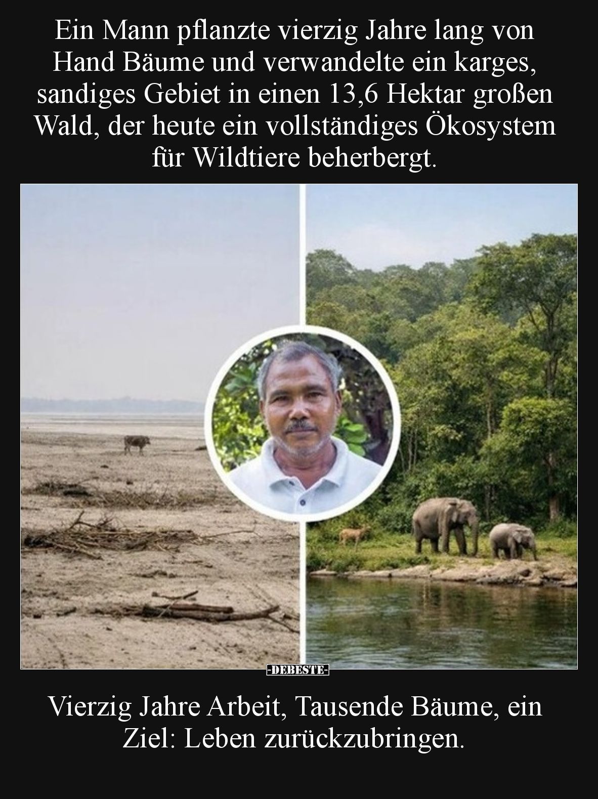 Ein Mann pflanzte vierzig Jahre lang von Hand Bäume und.. - Lustige Bilder | DEBESTE.de