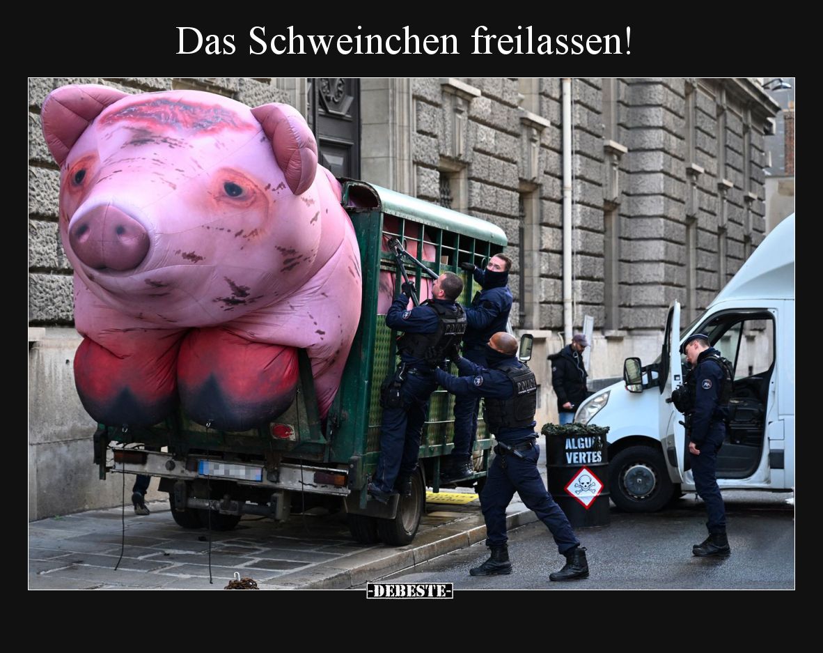 Das Schweinchen freilassen!