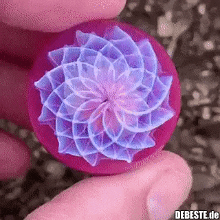  - Lustige Bilder | DEBESTE.de