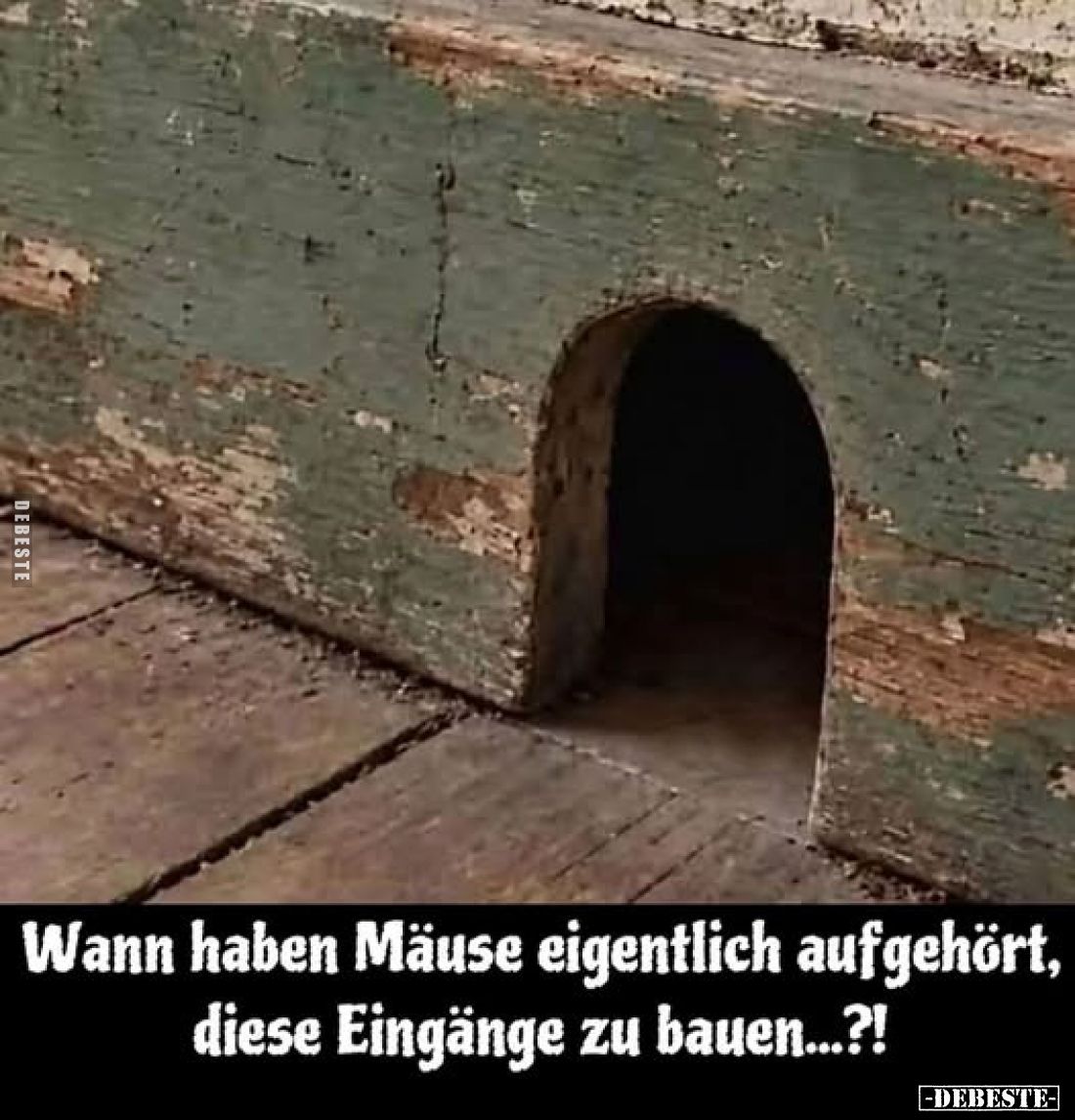 Wann haben Mäuse eigentlich aufgehört,
diese Eingänge zu bauen...?!