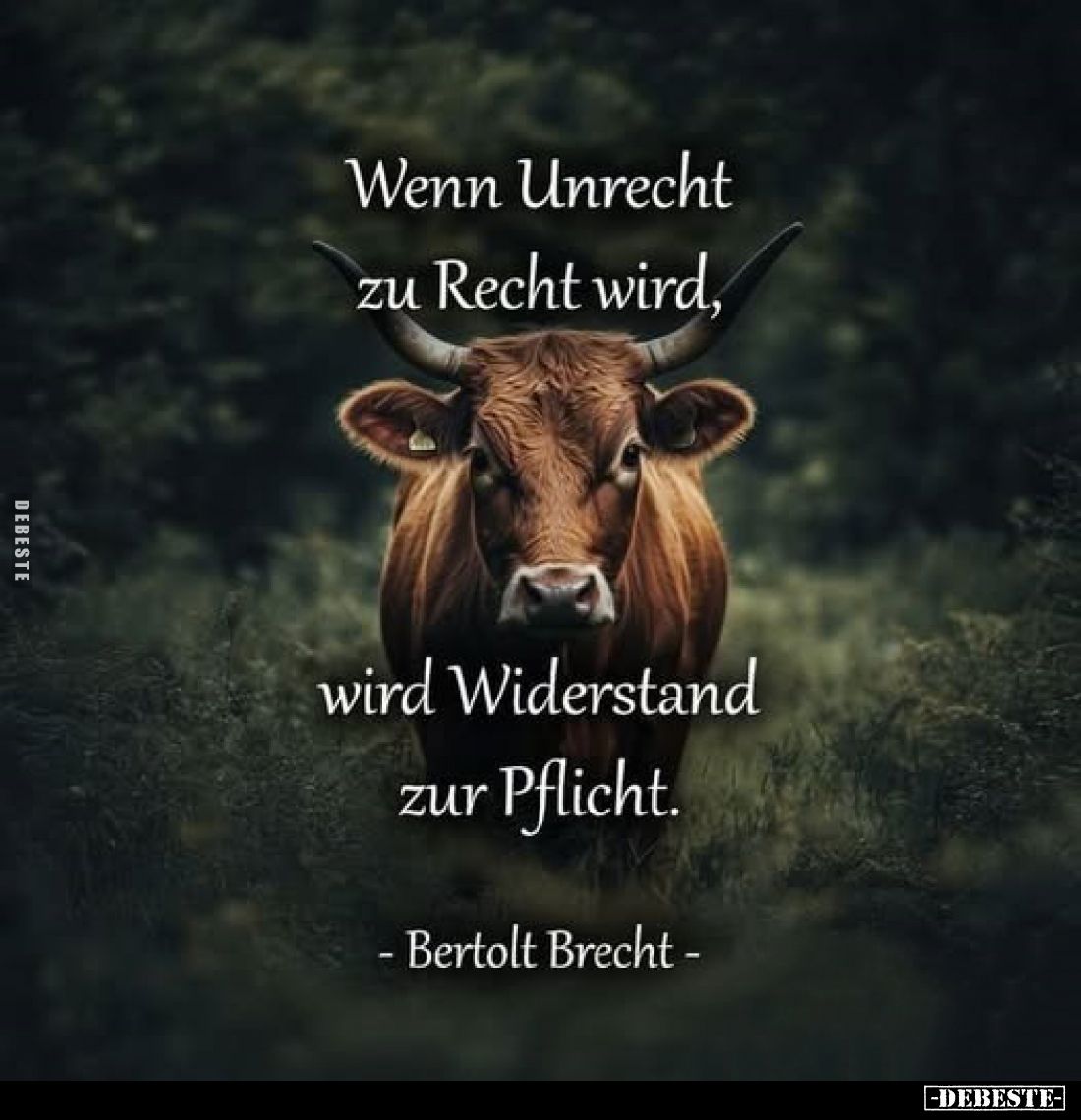 Wenn Unrecht zu Recht wird,
wird Widerstand zur Pflicht.