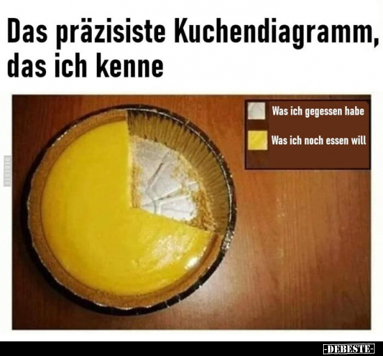 Das präzisiste Kuchendiagramm, das ich kenne... - Lustige Bilder | DEBESTE.de