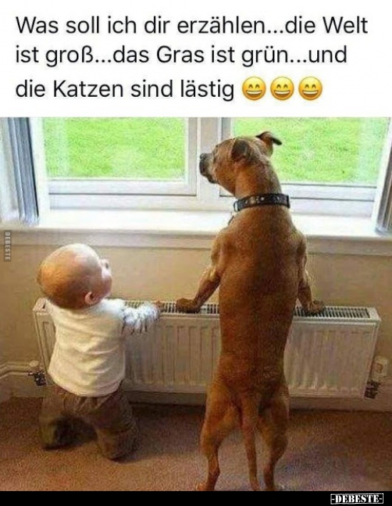 Was soll ich dir erzählen... die Welt ist groß...