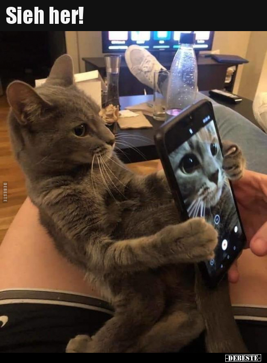 Sieh her!..