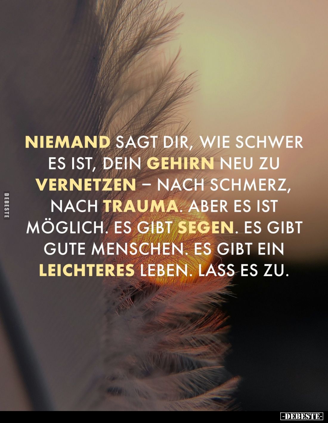 Niemand sagt dir, wie schwer es ist, dein Gehirn neu zu vernetzen – nach Schmerz, nach Trauma. Aber es ist möglich. Es gibt S...