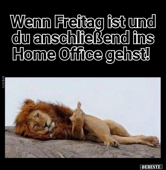 Wenn Freitag ist und du anschließend ins Home Office.. - Lustige Bilder | DEBESTE.de