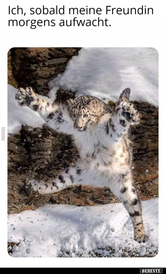 Ich, sobald meine Freundin morgens aufwacht.