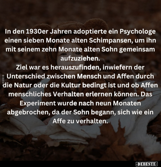 In den 1930er Jahren adoptierte ein Psychologe.. - Lustige Bilder | DEBESTE.de