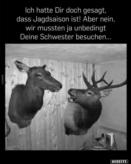 Ich hatte Dir doch gesagt, dass Jagdsaison ist!.. - Lustige Bilder | DEBESTE.de