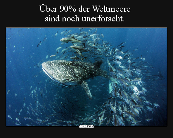 Wünsche, Ganz