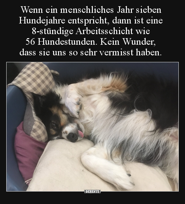 Wenn ein menschliches Jahr sieben Hundejahre entspricht.. - Lustige Bilder | DEBESTE.de