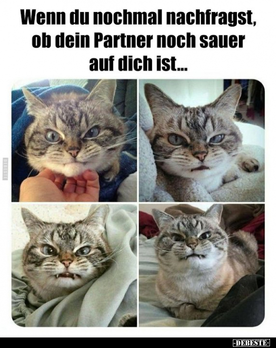 Wenn du nochmal nachfragst, ob dein Partner noch sauer auf..
