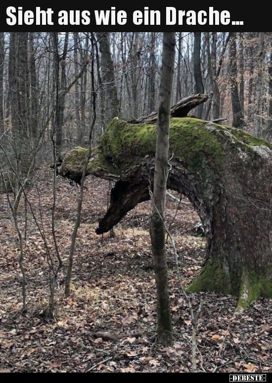 Sieht aus wie ein Drache...