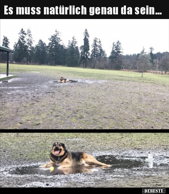 Es muss natürlich genau da sein... - Lustige Bilder | DEBESTE.de