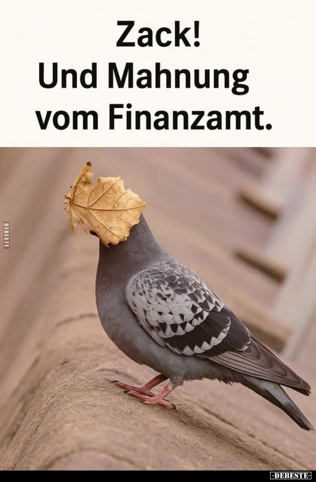 Zack! Und Mahnung vom Finanzamt.