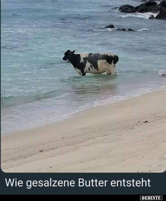 Wie gesalzene Butter entsteht... - Lustige Bilder | DEBESTE.de